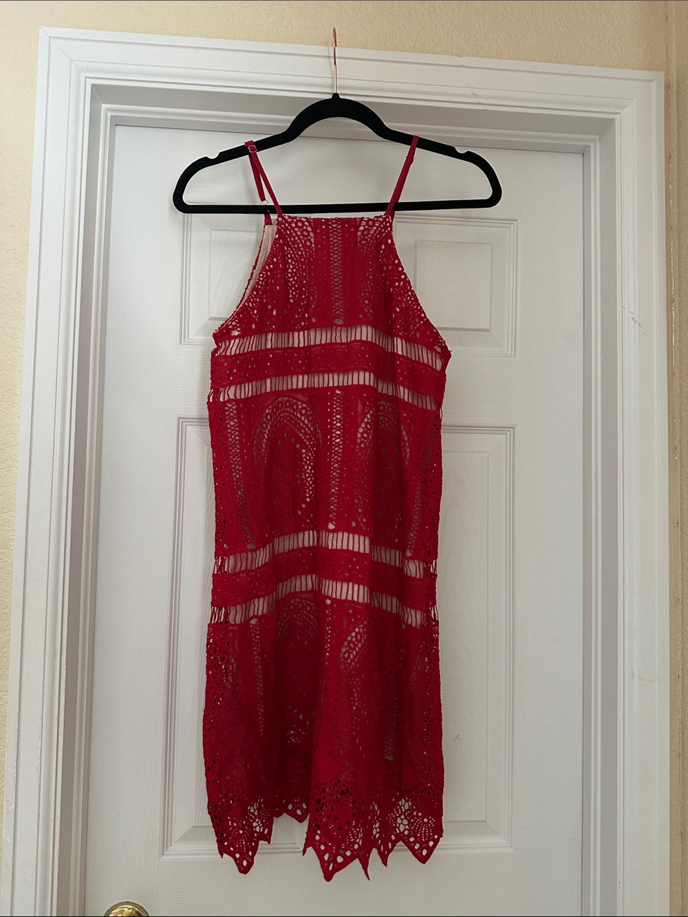 Francesca's Vaina Red Crochet Lace Strappy Mini Dress